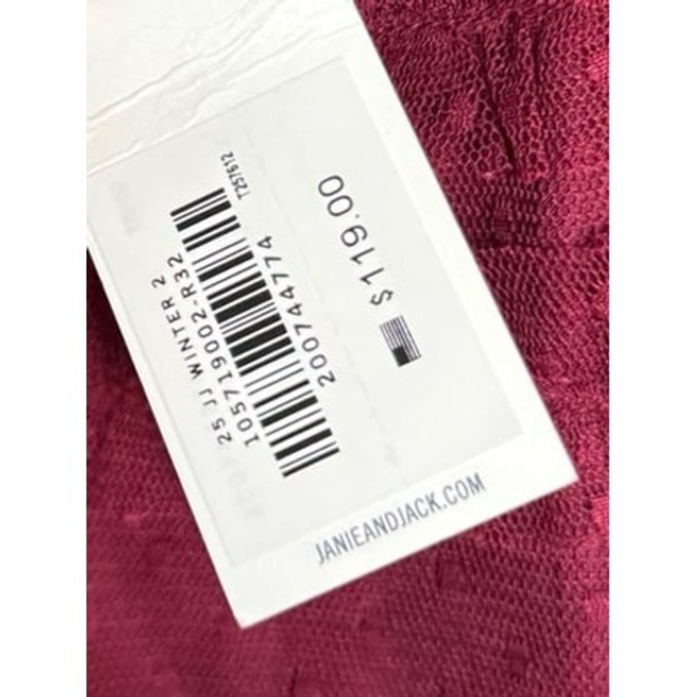 Janie and Jack Deep Burgundy Dot Tull Mesh Dress Ruffle Hem Girls Sz 12 NWT - Picture 8 of 10